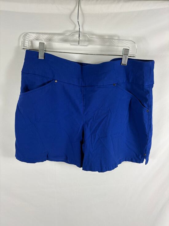INC International Concepts Pants - INC International Concepts Blue Shorts Size 12